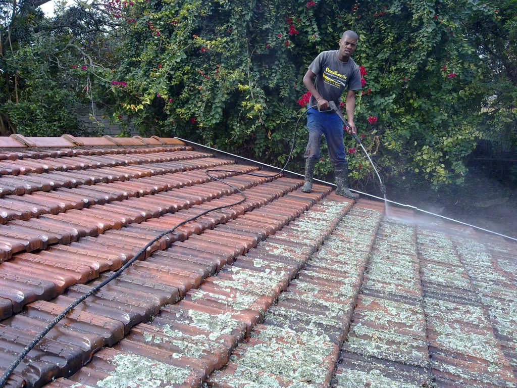 Roof Cleaning Service