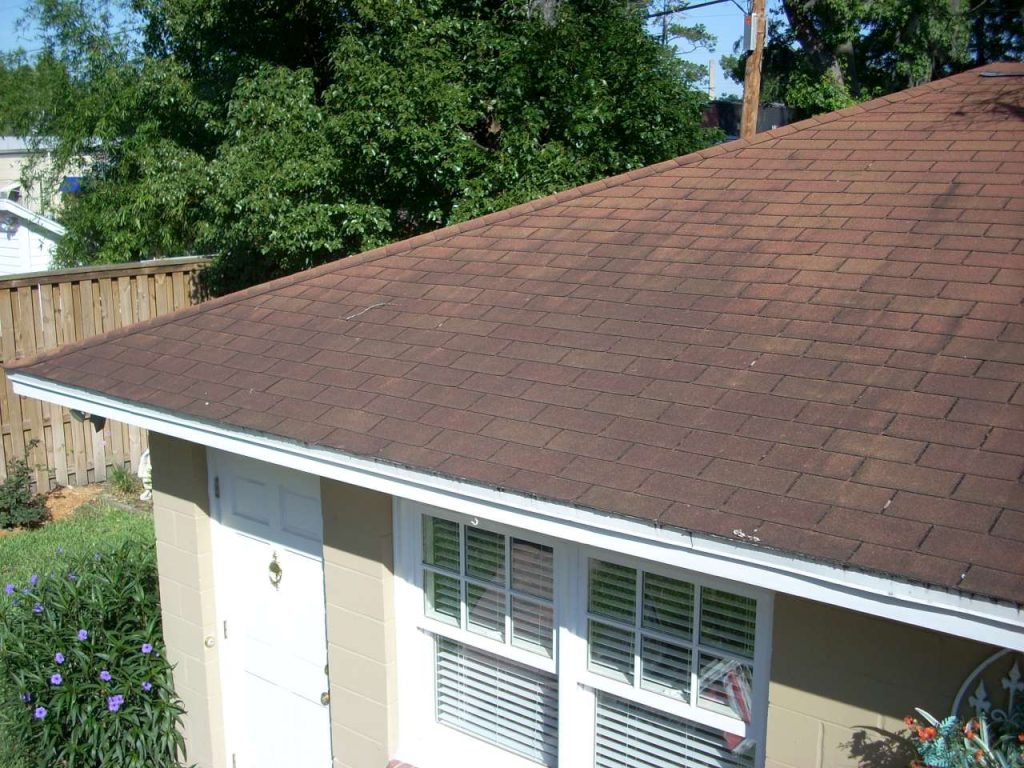 Roof Cleaning Services