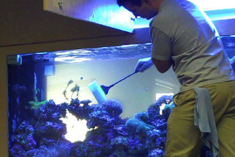 aquarium installation