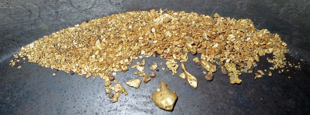 gold prospecting
