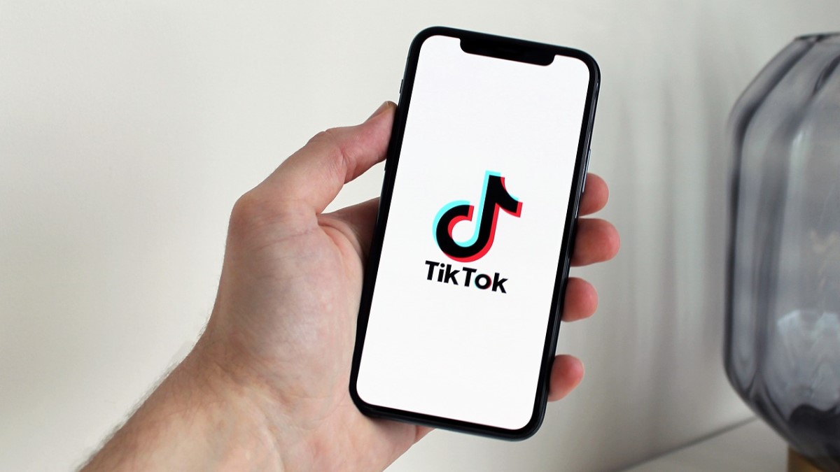 Download TikTok Videos